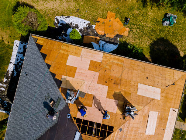 Roof Installation Near Me in Harriman, TN