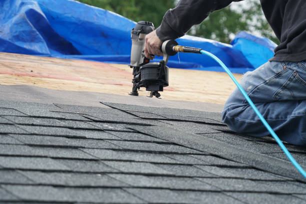 Best New Roof Installation  in Harriman, TN