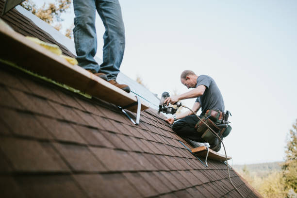 Reliable Harriman, TN Roofing Contractor Solutions