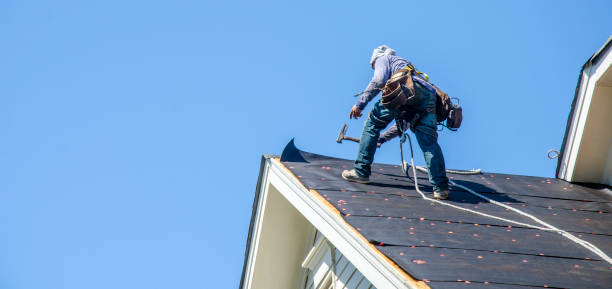 Best Roof Gutter Cleaning  in Harriman, TN
